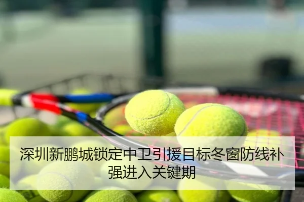 深圳新鹏城锁定中卫引援目标冬窗防线补强进入关键期